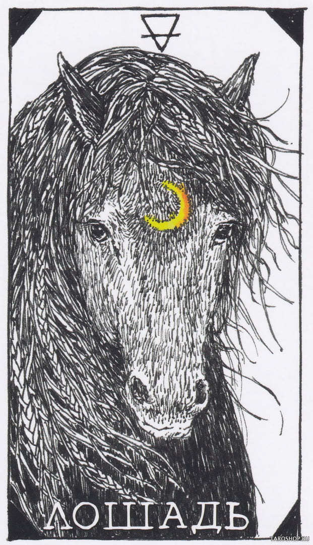 13 Caballo (Tierra) — The Wild Unknown Animal Spirit