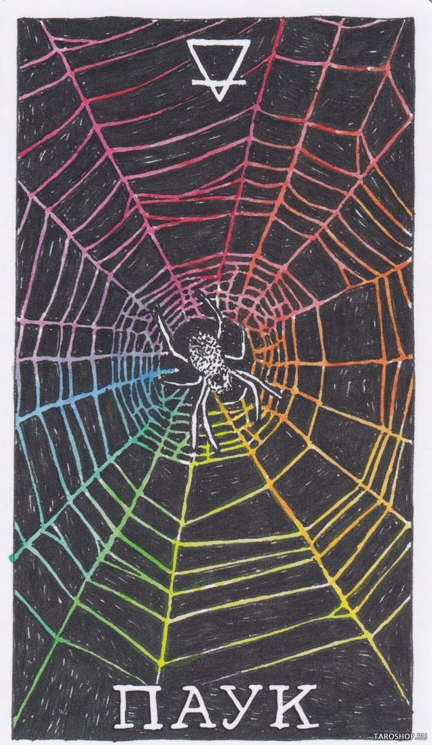 14 Spider (Earth) — Wild Unknown Animal Spirit Card Meanings