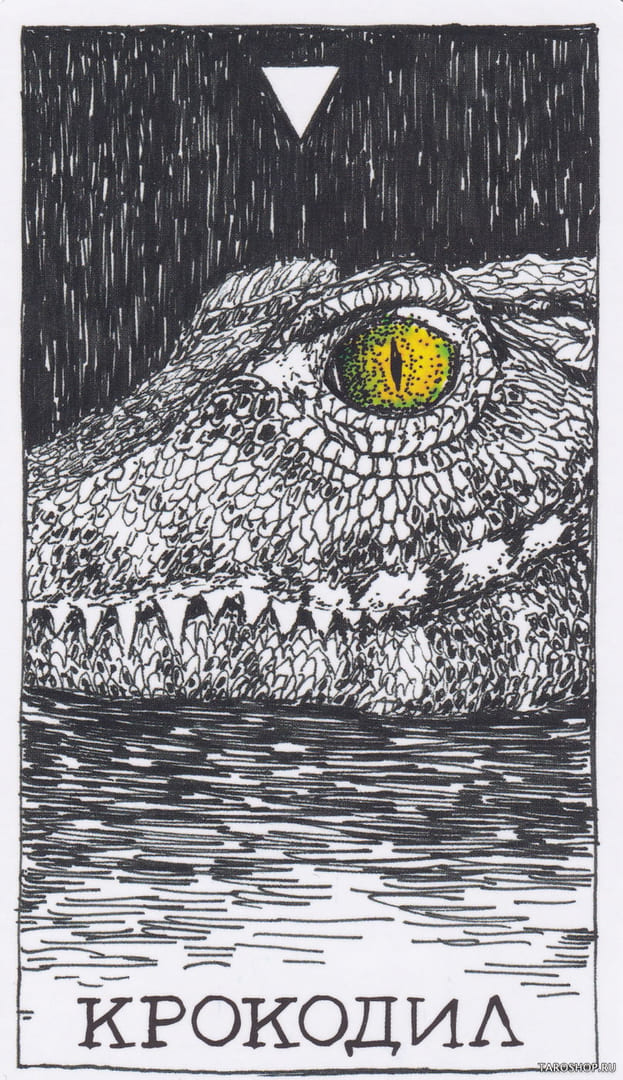 1 Crocodile (Water) — Wild Unknown Animal Spirit Card Meanings