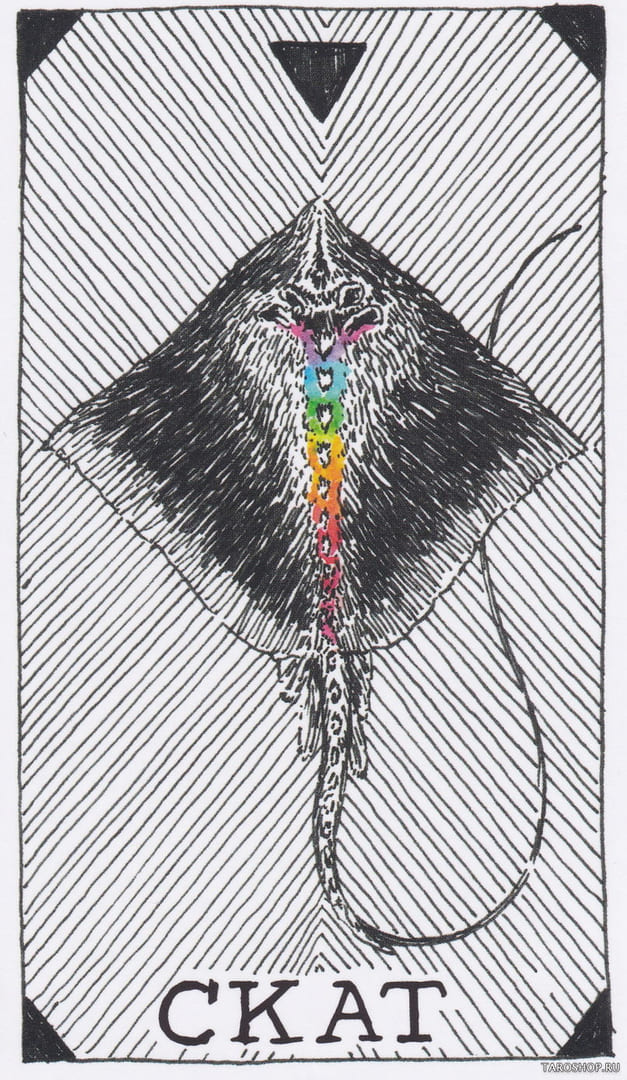 2 Stingray (Water) — Wild Unknown Animal Spirit Card Meanings