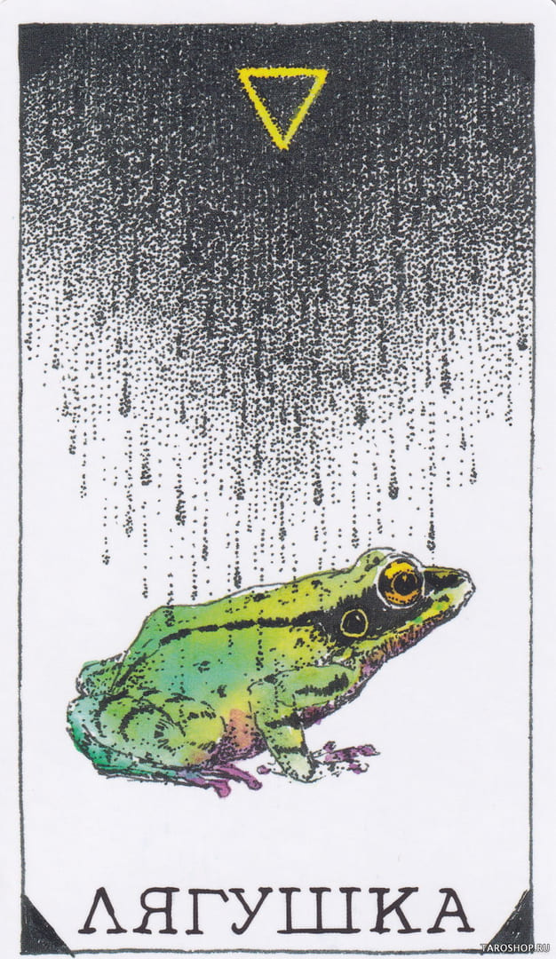 9 Frog (Water) — Wild Unknown Animal Spirit Card Meanings