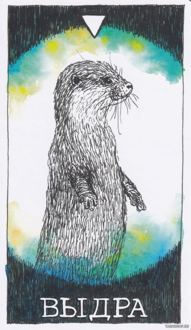 10 Otter (Water) — Wild Unknown Animal Spirit Card Meanings