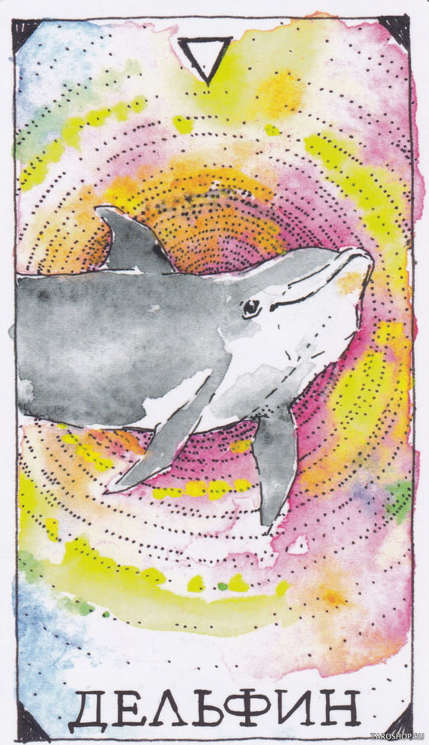 13 Dolphin (Water) — Wild Unknown Animal Spirit Card Meanings