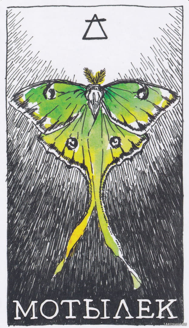 1 Moth (Air) — Wild Unknown Animal Spirit Card Meanings