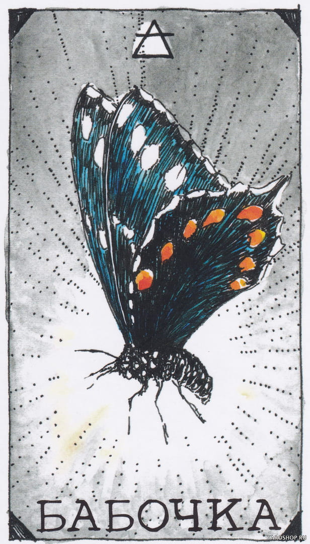 2 Butterfly (Air) — Wild Unknown Animal Spirit Card Meanings