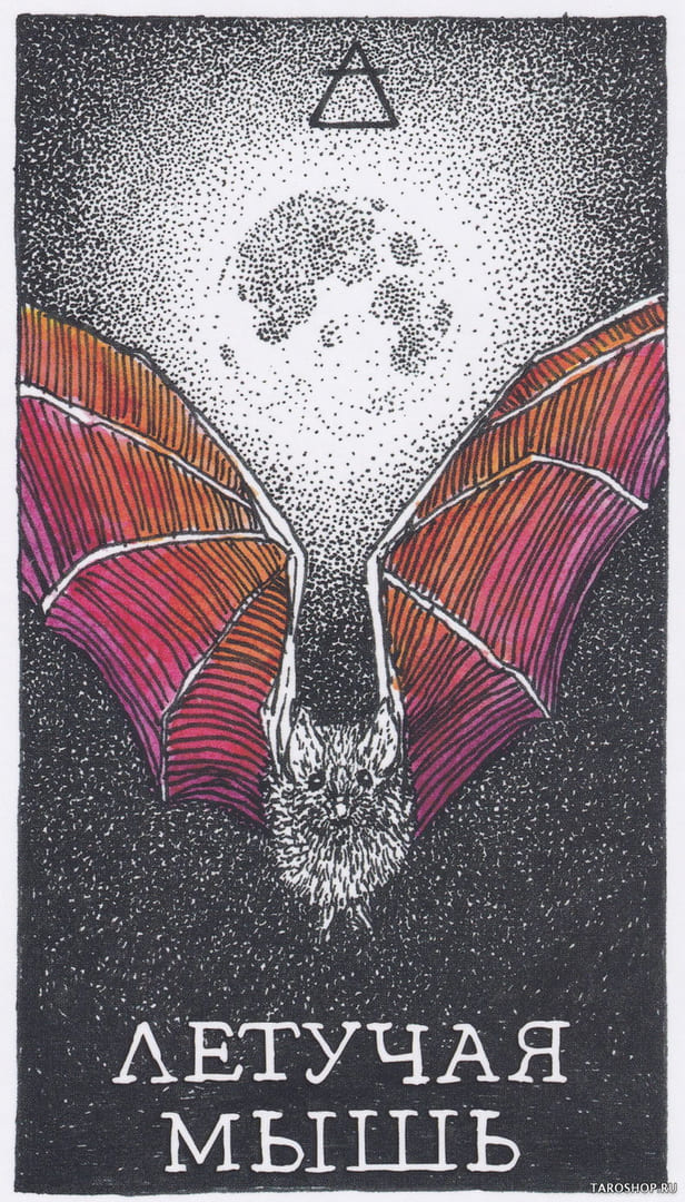 3 Bat (Air) — Wild Unknown Animal Spirit Card Meanings