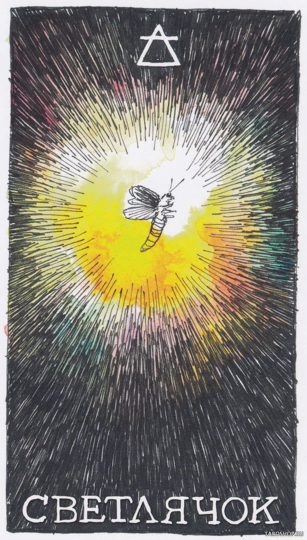 4 Firefly (Air) — Wild Unknown Animal Spirit Card Meanings