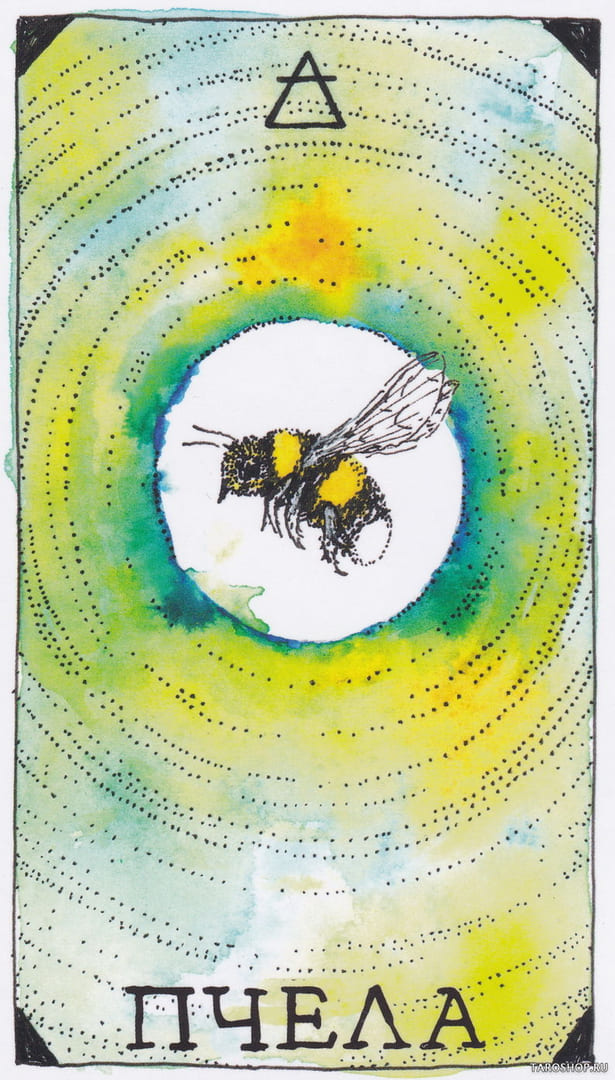 5 Abeja (Aire) — The Wild Unknown Animal Spirit