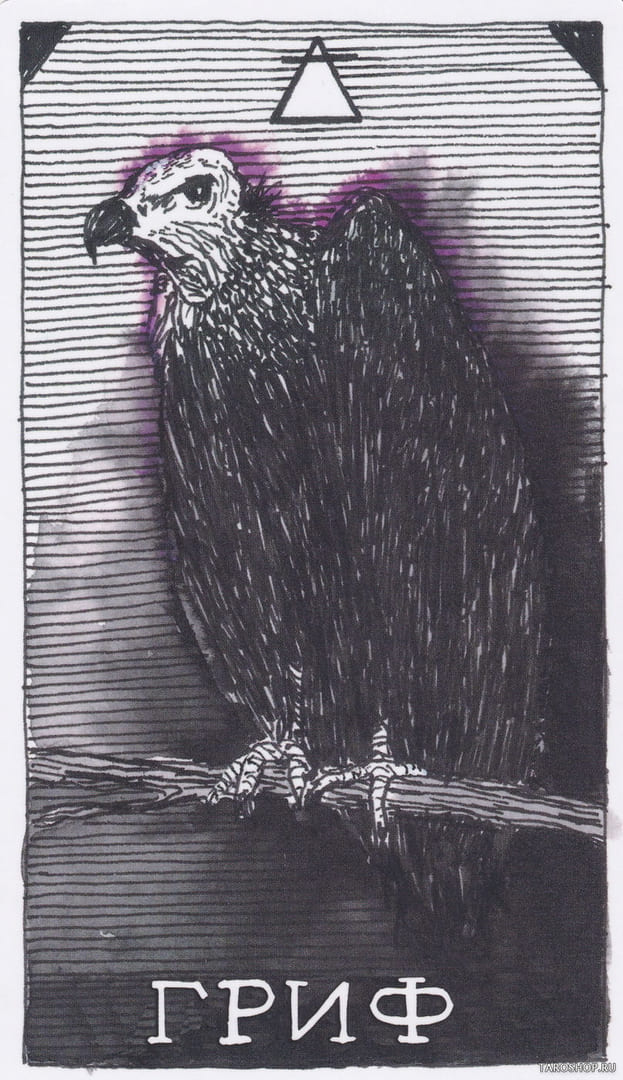 6 Vulture (Air) — Wild Unknown Animal Spirit Card Meanings