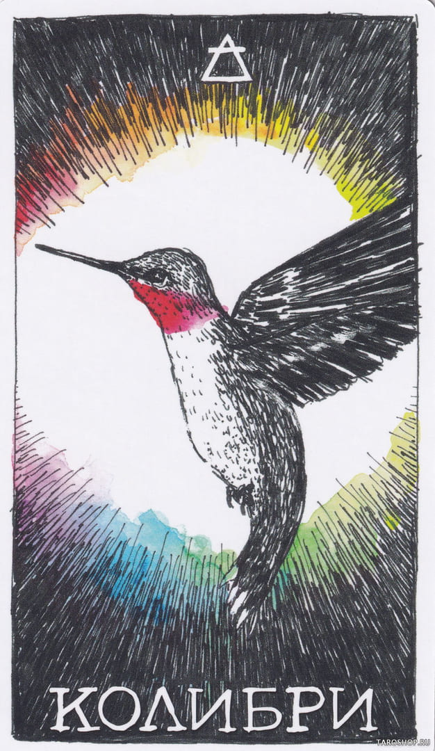 7 Hummingbird (Air) — Wild Unknown Animal Spirit Card Meanings