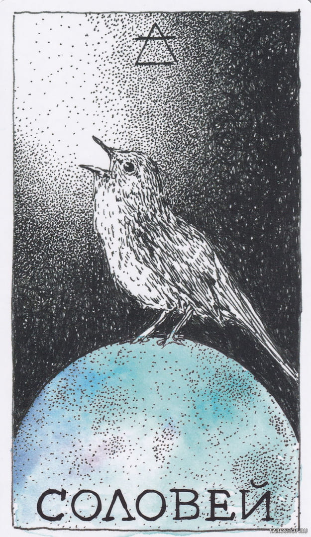 8 Ruiseñor (Aire) — The Wild Unknown Animal Spirit