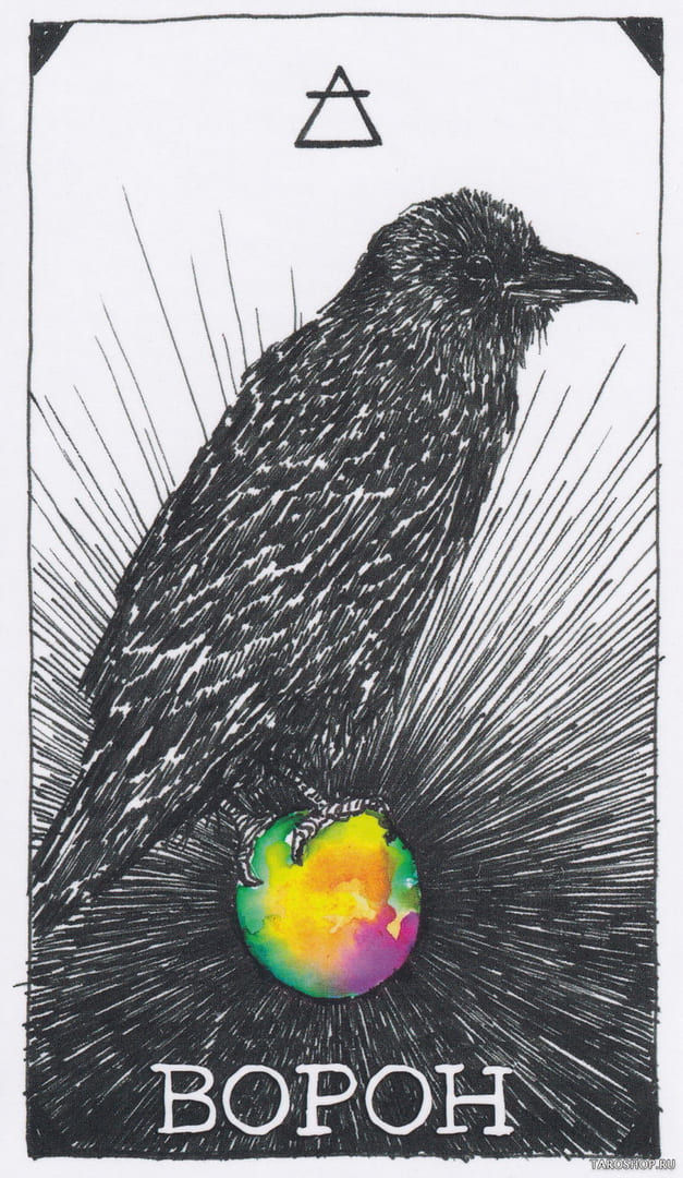 9 Cuervo (Aire) — The Wild Unknown Animal Spirit