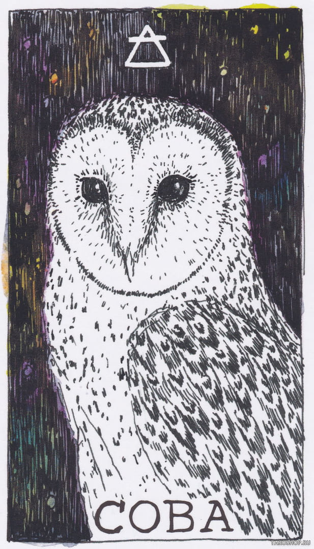 10 Owl (Air) — Wild Unknown Animal Spirit Card Meanings