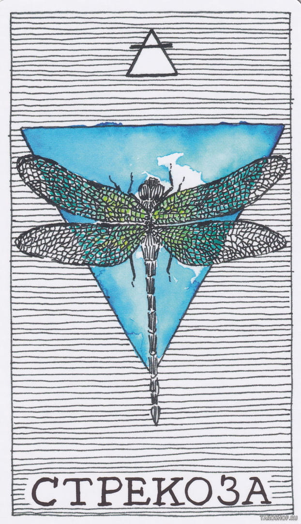 11 Libélula (Aire) — The Wild Unknown Animal Spirit