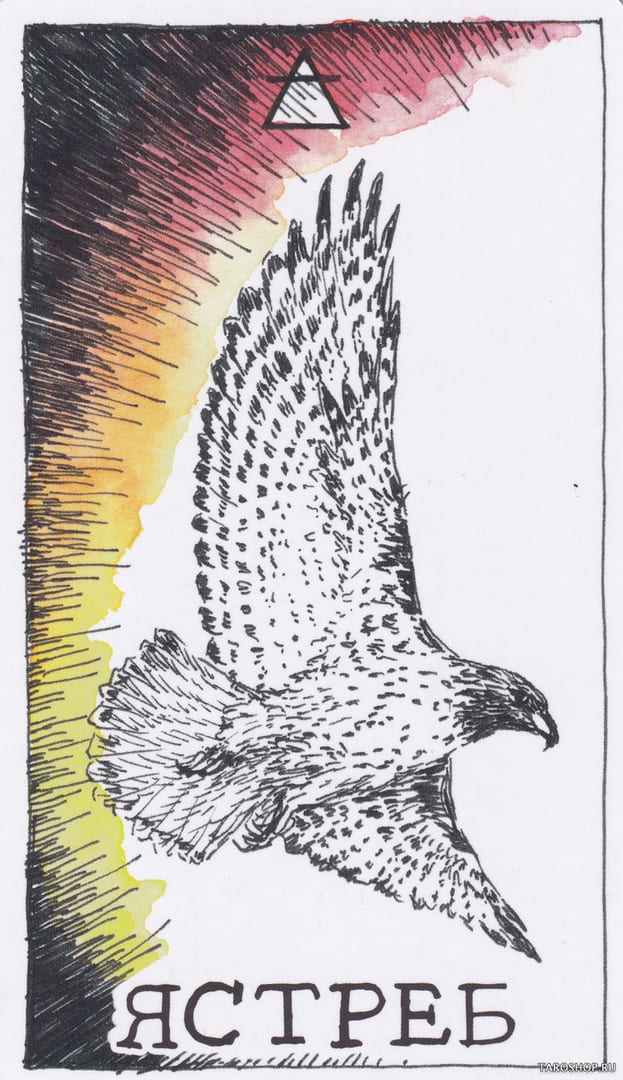 13 Hawk (Air) — Wild Unknown Animal Spirit Card Meanings