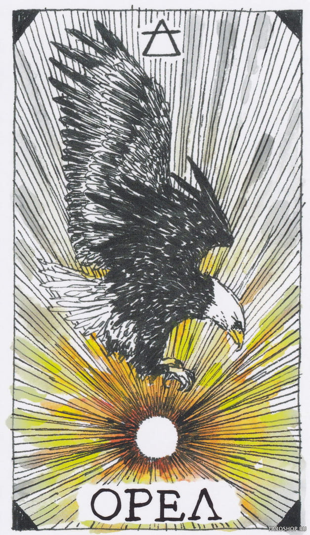 14 Eagle (Air) — Wild Unknown Animal Spirit Card Meanings