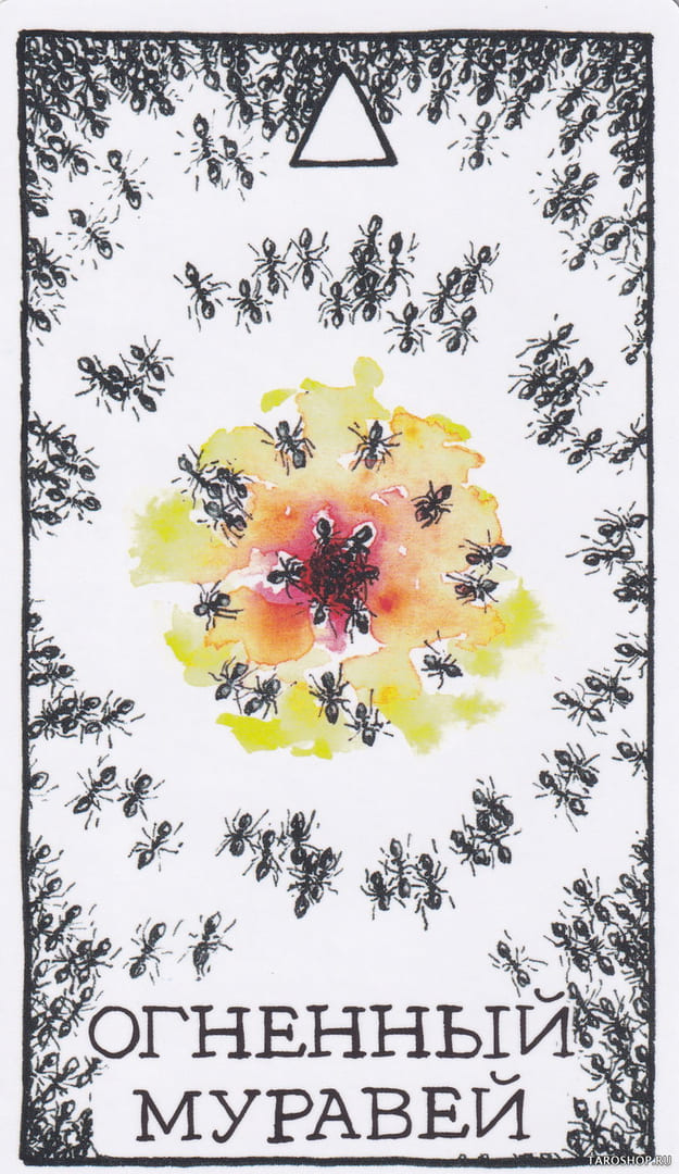 1 Fire Ant (Fire) — Wild Unknown Animal Spirit Card Meanings