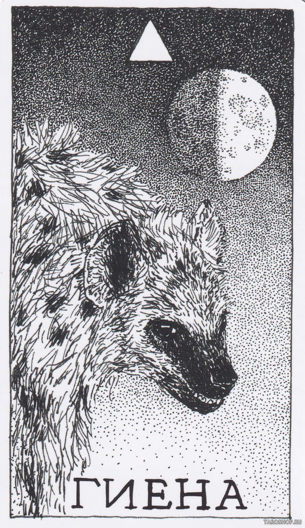 2 Hiena (Fuego) — The Wild Unknown Animal Spirit