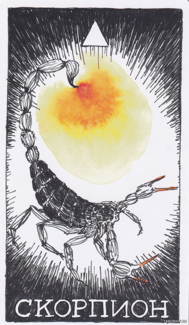 3 Scorpio (Fire) — Wild Unknown Animal Spirit Card Meanings