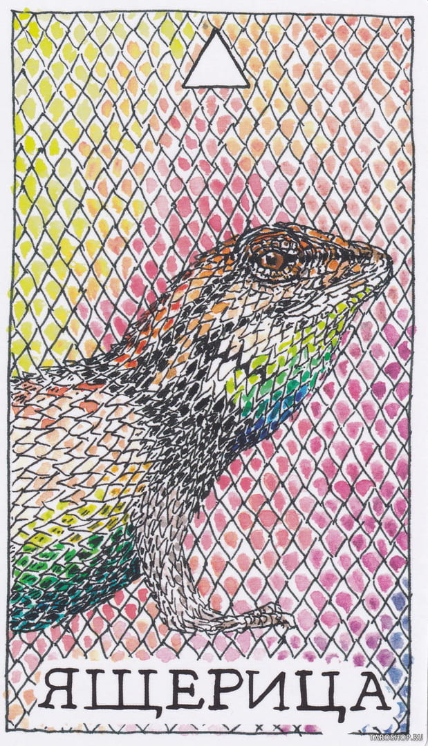 4 Lizard (Fire) — Wild Unknown Animal Spirit Card Meanings