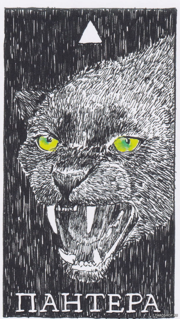 5 Pantera (Fuego) — The Wild Unknown Animal Spirit