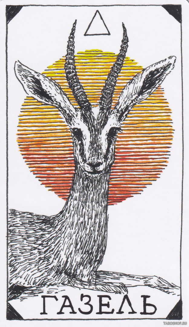 8 Gazelle (Fire) — Wild Unknown Animal Spirit Card Meanings