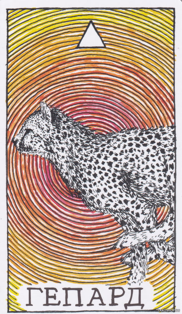 9 Cheetah (Fire) — Wild Unknown Animal Spirit Card Meanings