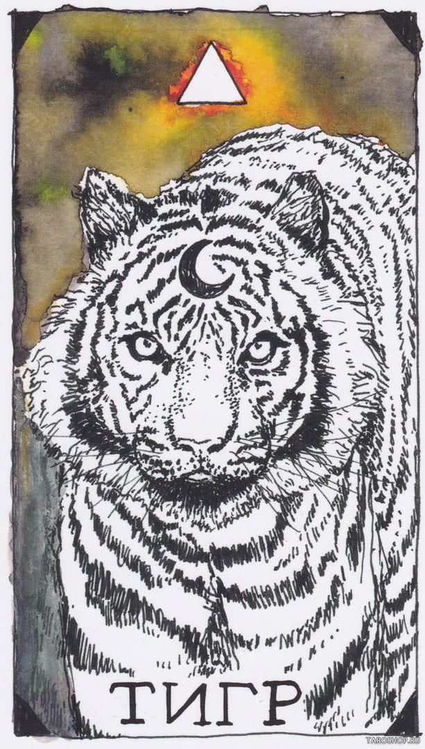 10 Tigre (Fuego) — The Wild Unknown Animal Spirit