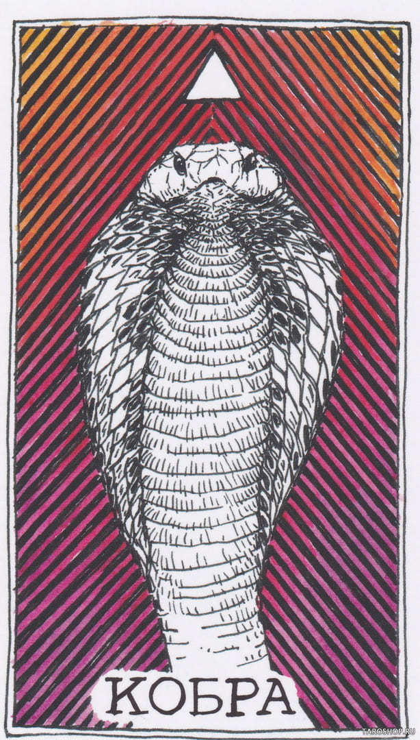 11 Cobra (Fire) — Wild Unknown Animal Spirit Card Meanings