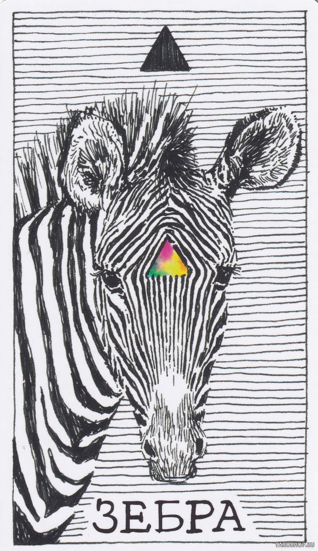 12 Zebra (Fire) — Wild Unknown Animal Spirit Card Meanings