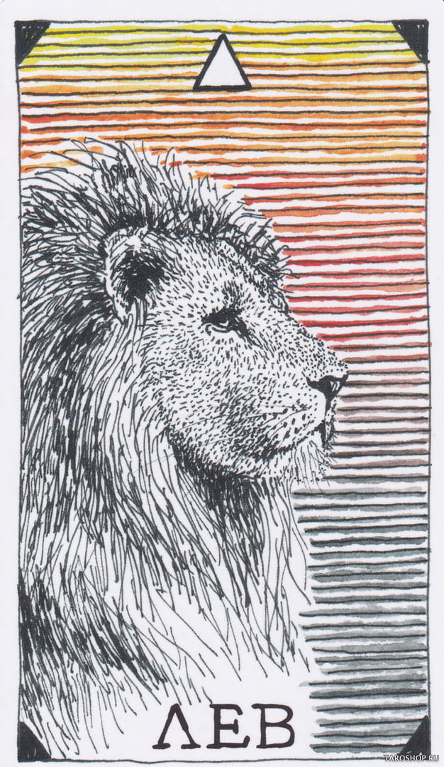 13 León (Fuego) — The Wild Unknown Animal Spirit