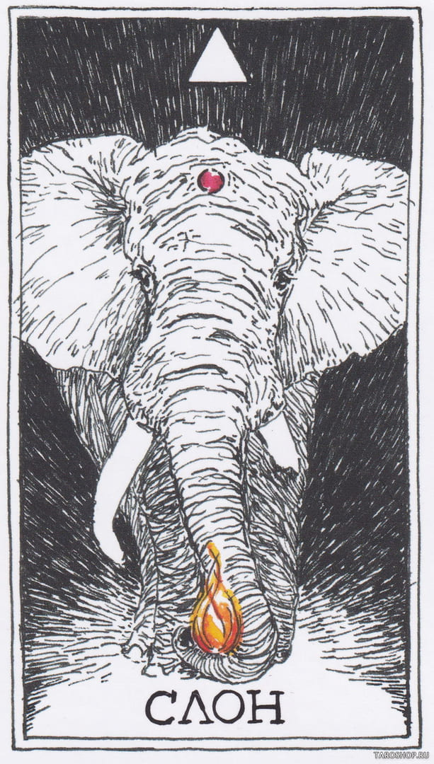 14 Elephant (Fire) — Wild Unknown Animal Spirit Card Meanings