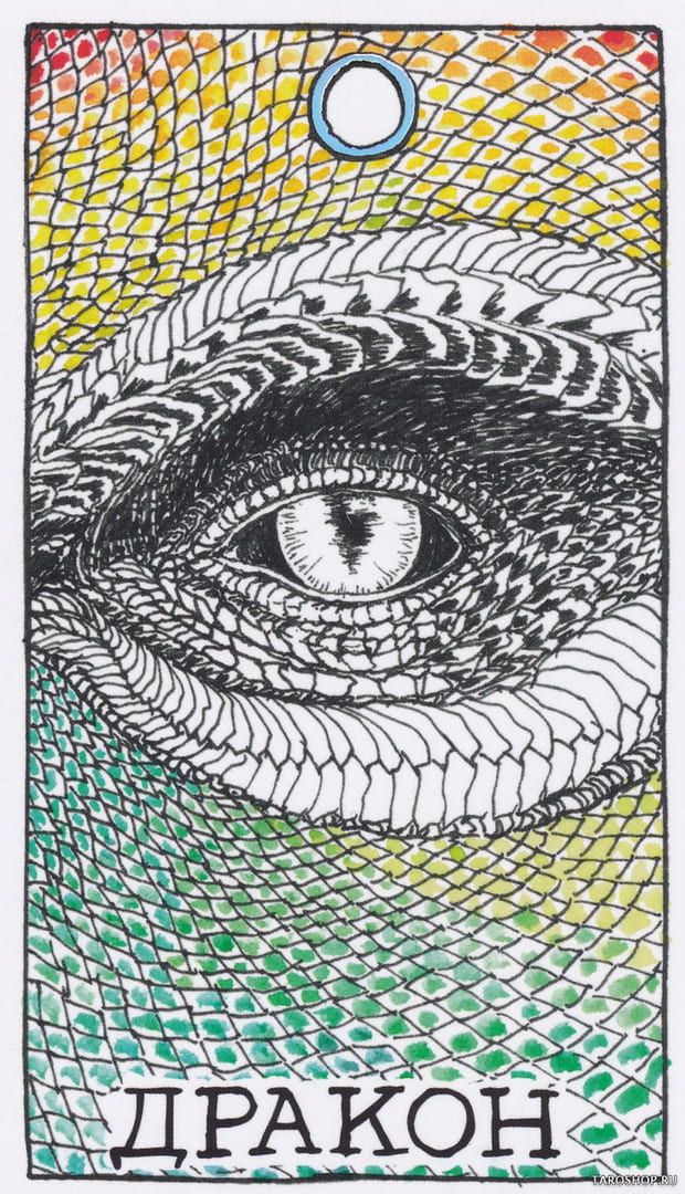 3 Dragón (Espíritu) — The Wild Unknown Animal Spirit