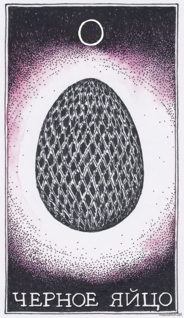 5 Black Egg (Spirit) — Wild Unknown Animal Spirit Card Meanings