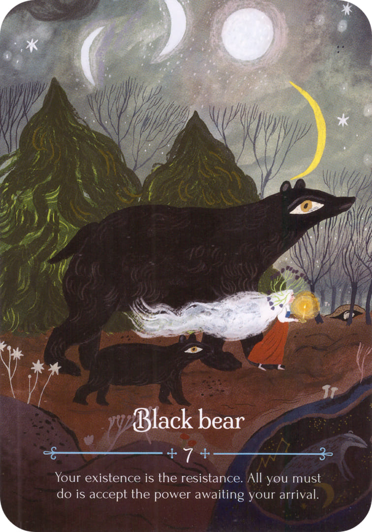 Black Bear — Seasons of the Witch – Imbolc Oracle