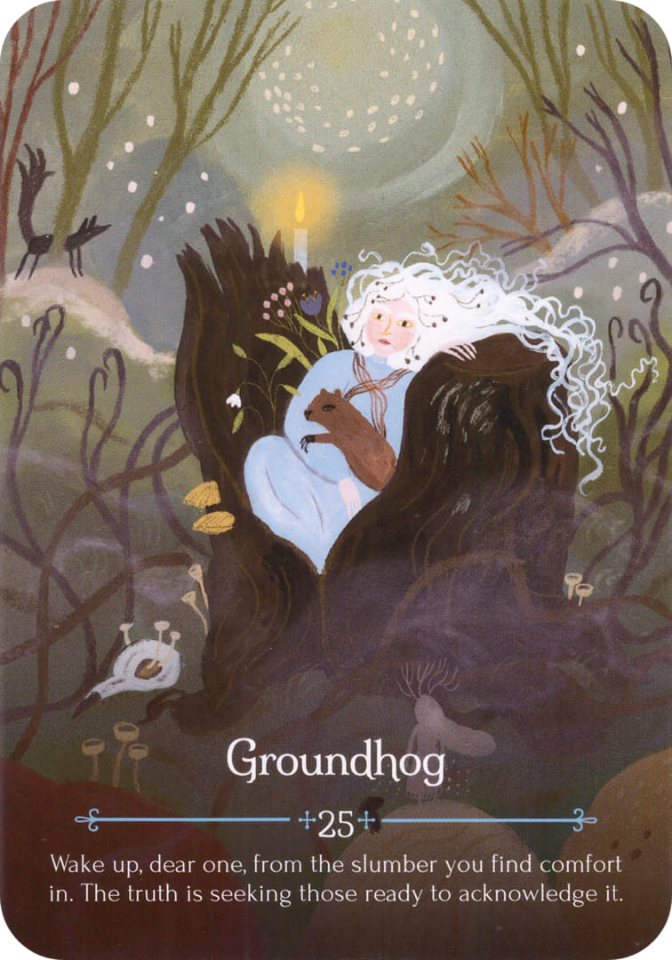 Groundhog — Seasons of the Witch – Imbolc Oracle