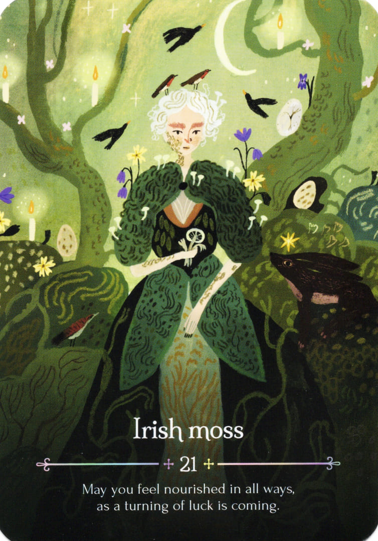 21. Irish Moss — Seasons of the Witch – Ostara Oracle
