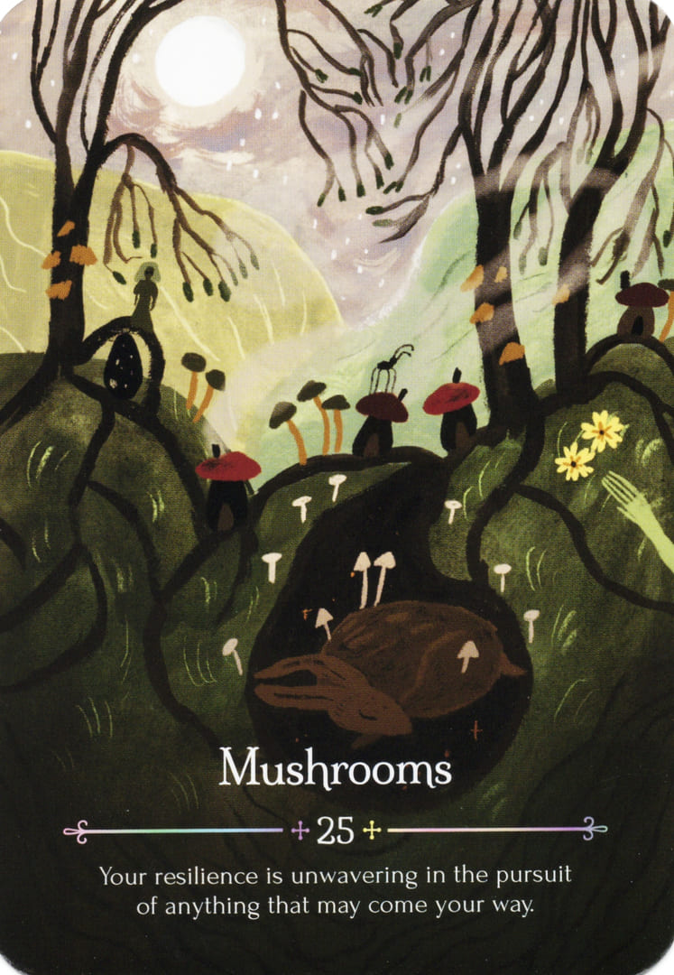 25. Mushrooms — Seasons of the Witch – Ostara Oracle