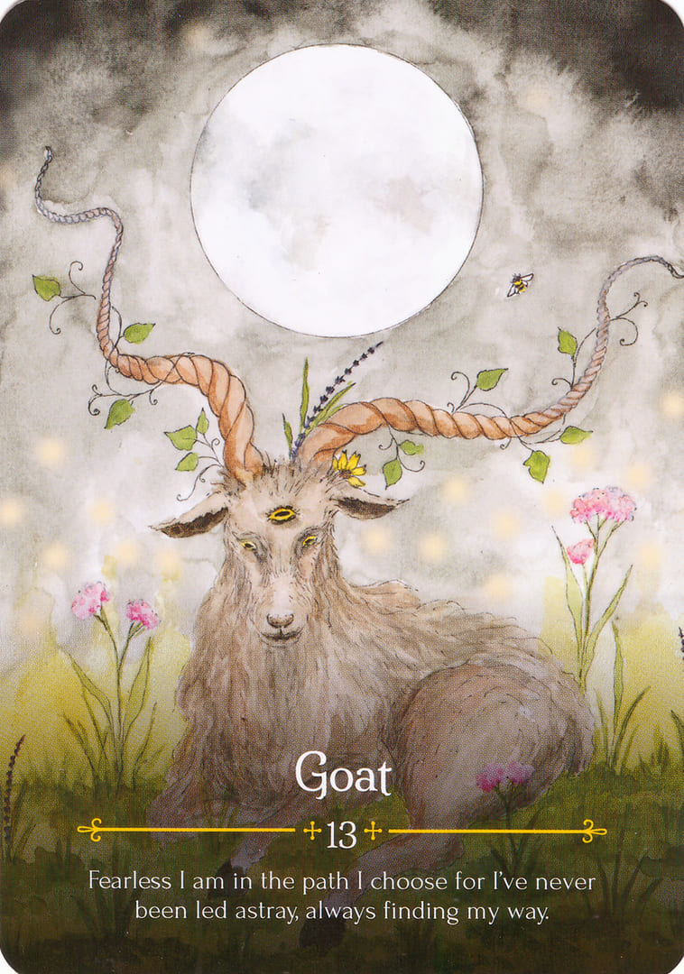 Cabra — Oráculo de Beltane