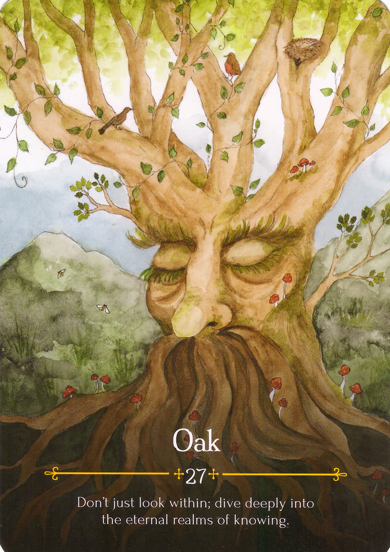 Oak — Oráculo de Beltane