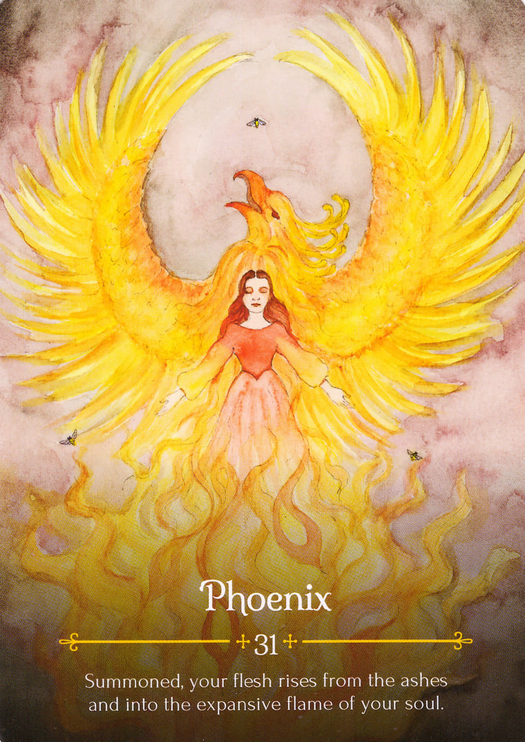 Fénix — Oráculo de Beltane