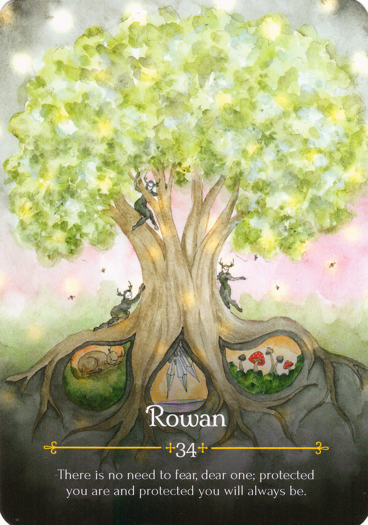Rowan — Oráculo de Beltane