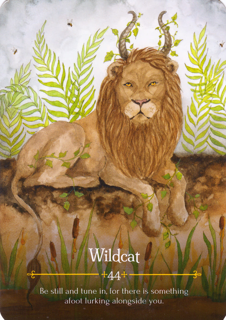 Gato Salvaje — Oráculo de Beltane