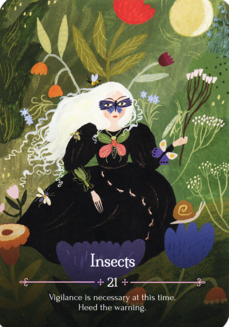 21. Insects — Seasons of the Witch – Litha Oracle