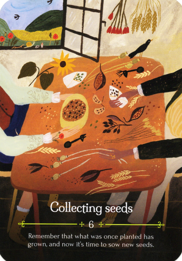 6. Collecting Seeds — Seasons of the Witch – Lammas Oracle