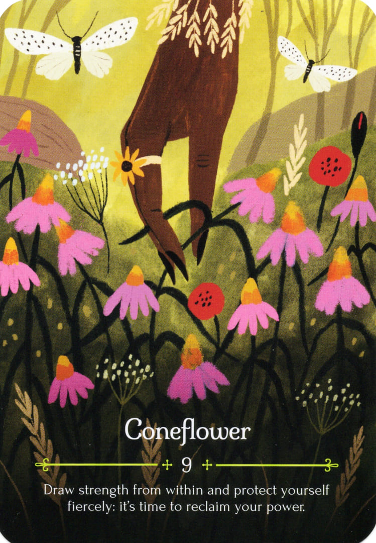 9. Coneflower — Seasons of the Witch – Lammas Oracle
