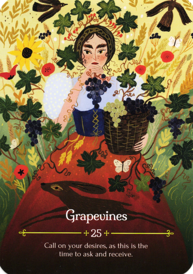 25. Grapevines — Seasons of the Witch – Lammas Oracle