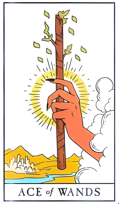 Ace of Wands — Modern Witch Tarot