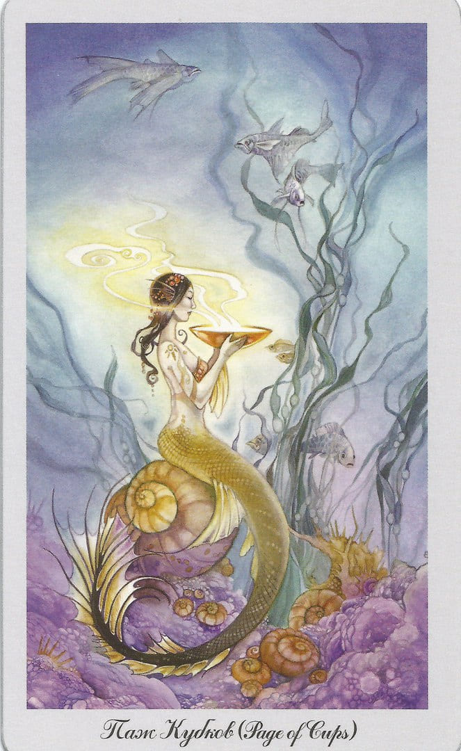 Sota de Copas — Shadowscapes Tarot