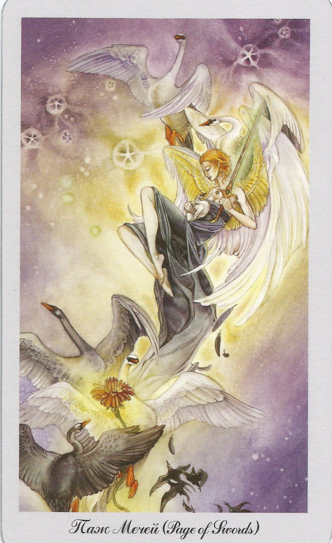 Sota de Espadas — Shadowscapes Tarot